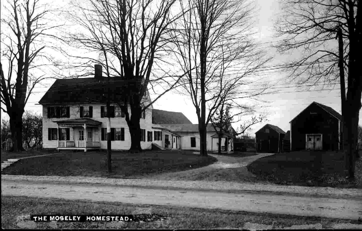 moseley_homestead_2.jpg (79531 bytes)